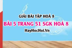 Giải bài 5 trang 51 SGK Hoá 8: Phản ứng hoá học
